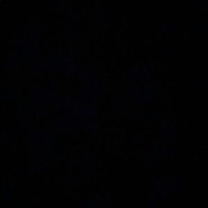 Meet your Posher, Annalise